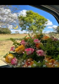 一言不发(高甜,H)